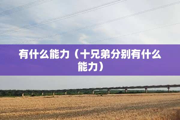 有什么能力（十兄弟分别有什么能力）