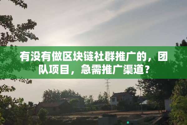 有没有做区块链社群推广的，团队项目，急需推广渠道？