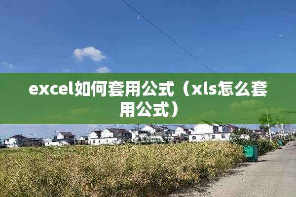 excel如何套用公式（xls怎么套用公式）