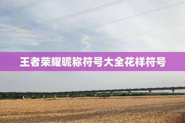 王者荣耀昵称符号大全花样符号
