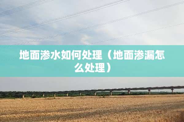 地面渗水如何处理（地面渗漏怎么处理）