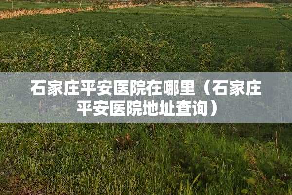 石家庄平安医院在哪里（石家庄平安医院地址查询）