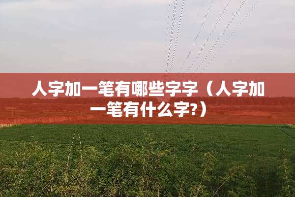 人字加一笔有哪些字字（人字加一笔有什么字?）