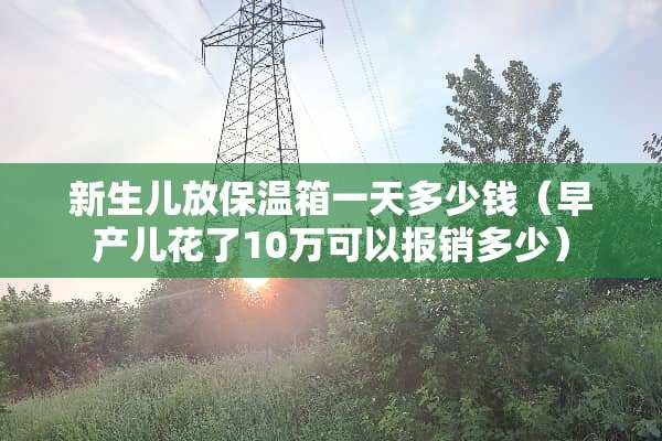 新生儿放保温箱一天多少钱（早产儿花了10万可以报销多少）