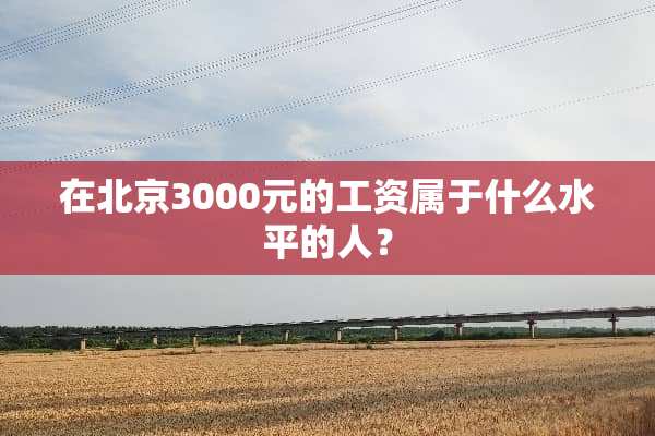 在北京3000元的工资属于什么水平的人？