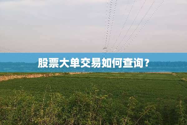 股票大单交易如何查询？