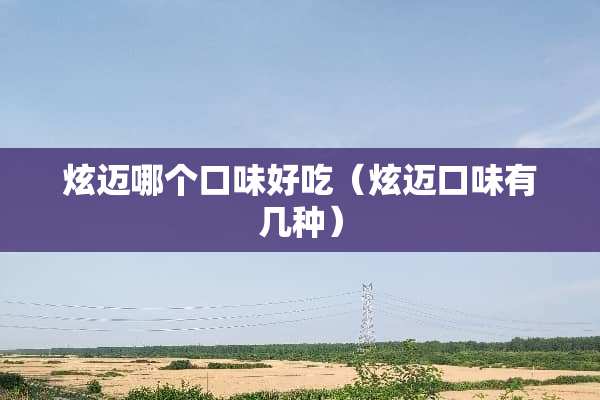 炫迈哪个口味好吃（炫迈口味有几种）