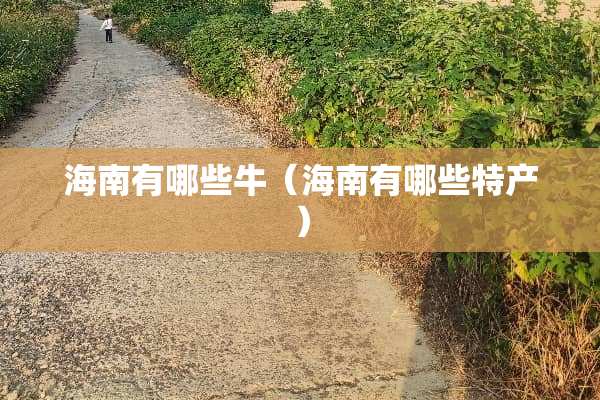 海南有哪些牛（海南有哪些特产）