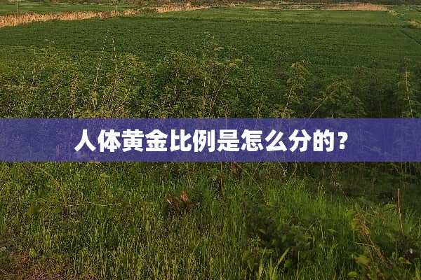 人体黄金比例是怎么分的？