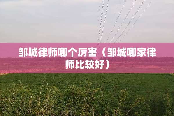 邹城律师哪个厉害（邹城哪家律师比较好）
