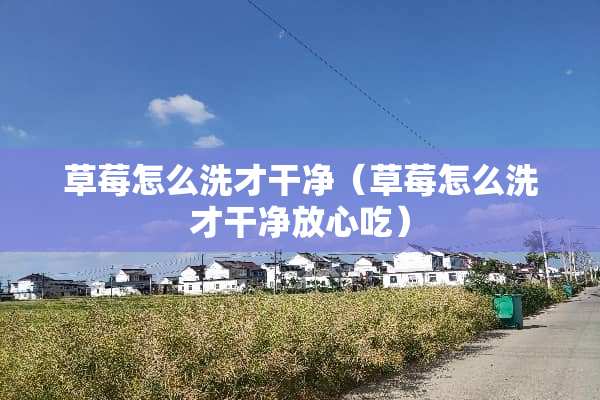 草莓怎么洗才干净（草莓怎么洗才干净放心吃）