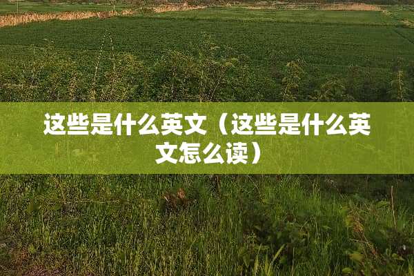 这些是什么英文（这些是什么英文怎么读）
