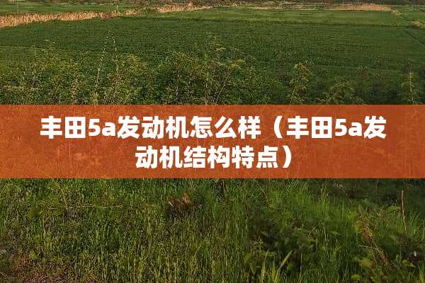 丰田5a发动机怎么样（丰田5a发动机结构特点）