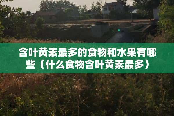 含叶黄素最多的食物和水果有哪些（什么食物含叶黄素最多）