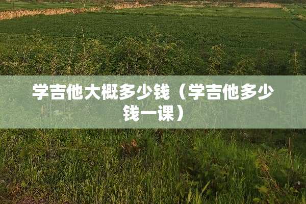 学吉他大概多少钱（学吉他多少钱一课）