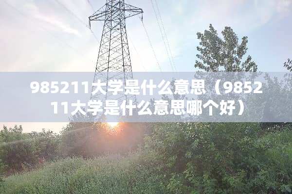 985211大学是什么意思（985211大学是什么意思哪个好）
