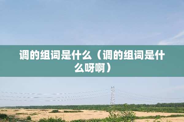 调的组词是什么（调的组词是什么呀啊）