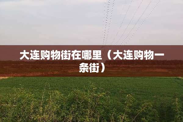 大连购物街在哪里（大连购物一条街）