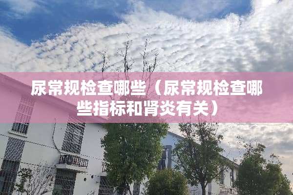 尿常规检查哪些（尿常规检查哪些指标和肾炎有关）