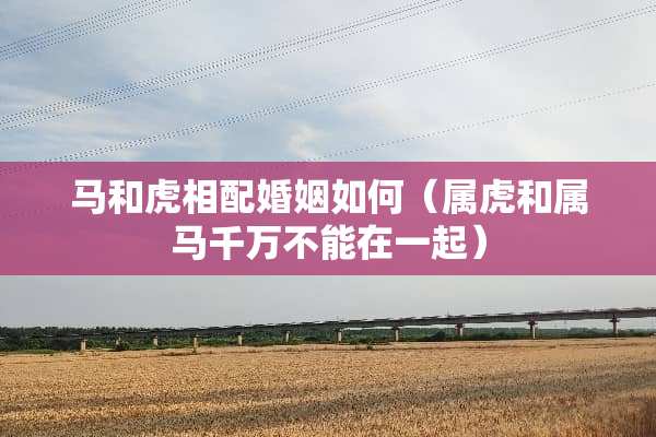 马和虎相配婚姻如何（属虎和属马千万不能在一起）