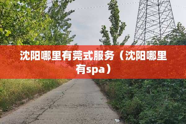 沈阳哪里有莞式服务（沈阳哪里有spa）