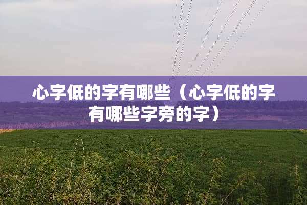 心字低的字有哪些（心字低的字有哪些字旁的字）