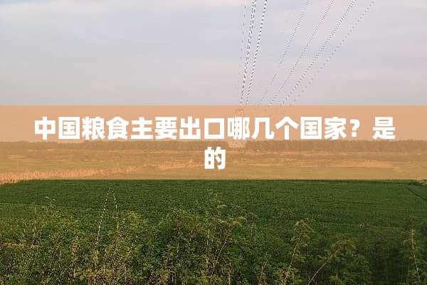 中国粮食主要出口哪几个国家？是的