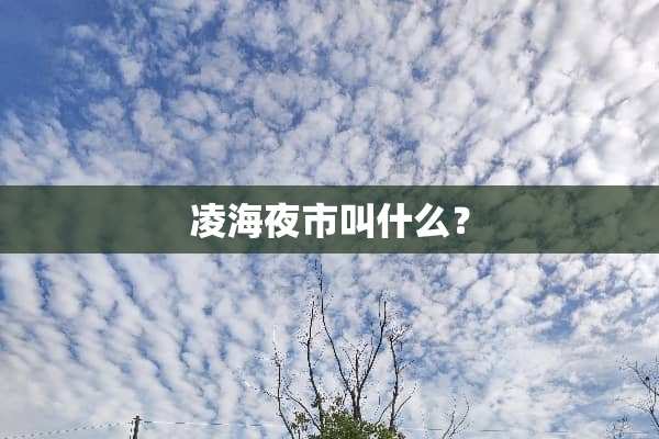 凌海夜市叫什么？
