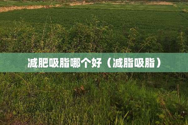 减肥吸脂哪个好（减脂吸脂）