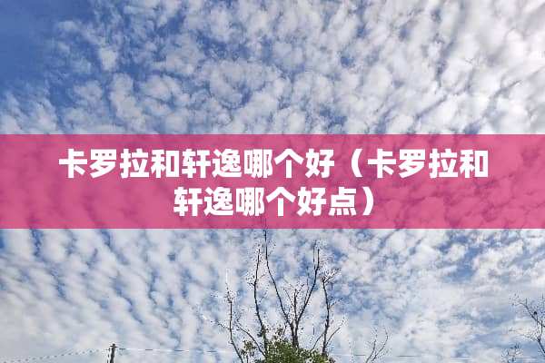 卡罗拉和轩逸哪个好（卡罗拉和轩逸哪个好点）