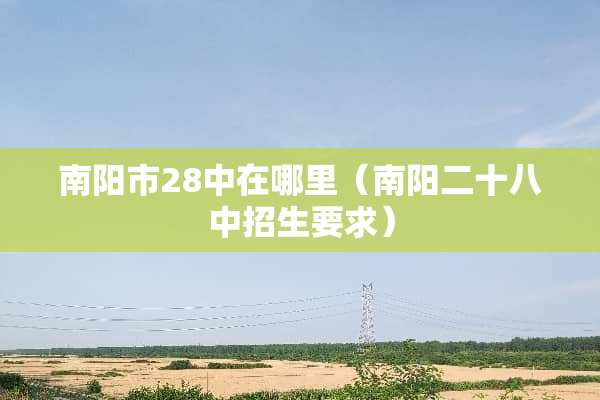南阳市28中在哪里（南阳二十八中招生要求）