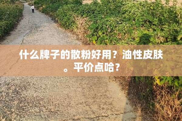 什么牌子的散粉好用？油性皮肤。平价点哈？