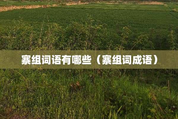 寨组词语有哪些（寨组词成语）
