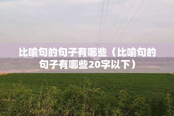 比喻句的句子有哪些（比喻句的句子有哪些20字以下）