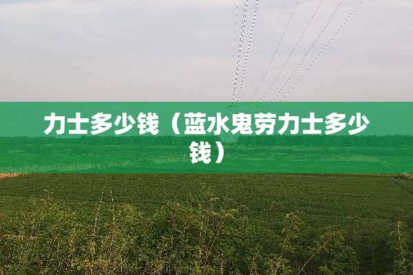 力士多少钱（蓝水鬼劳力士多少钱）
