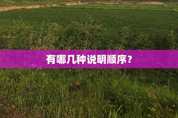 有哪几种说明顺序？