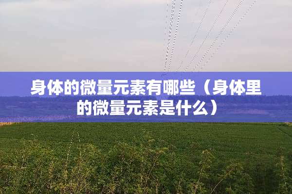 身体的微量元素有哪些（身体里的微量元素是什么）