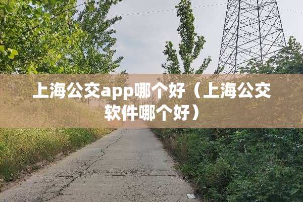 上海公交app哪个好（上海公交软件哪个好）
