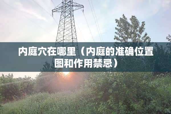 内庭*在哪里（内庭的准确位置图和作用禁忌）