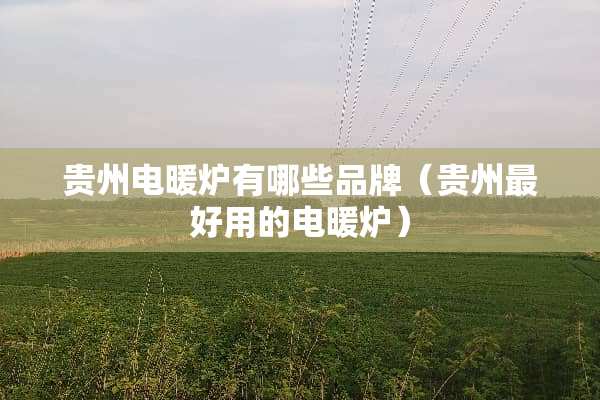 贵州电暖炉有哪些品牌（贵州最好用的电暖炉）