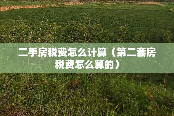 二手房税费怎么计算（第二套房税费怎么算的）
