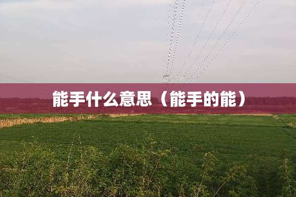 能手什么意思（能手的能）