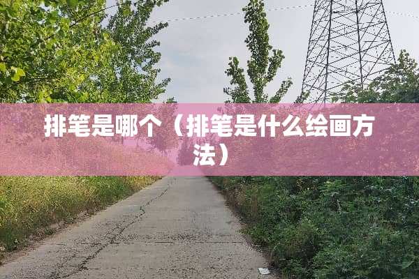 排笔是哪个（排笔是什么绘画方法）