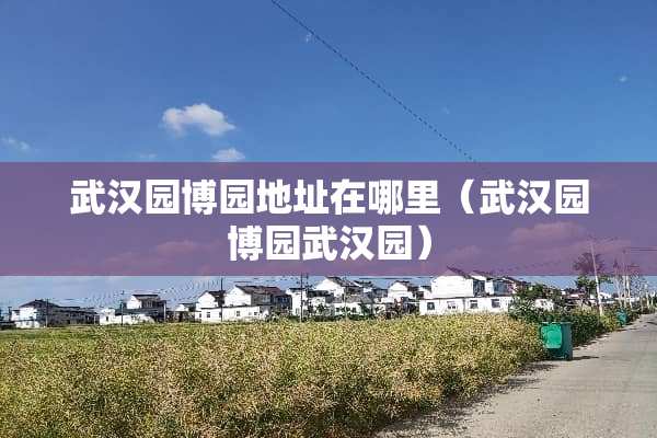 武汉园博园地址在哪里（武汉园博园武汉园）