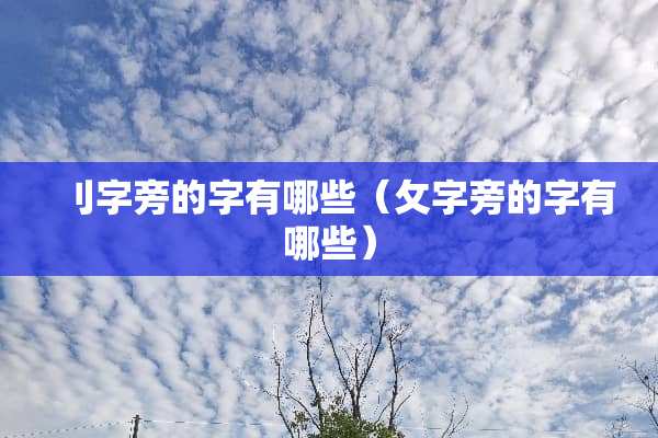 刂字旁的字有哪些（攵字旁的字有哪些）