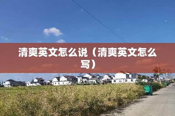 清爽英文怎么说（清爽英文怎么写）