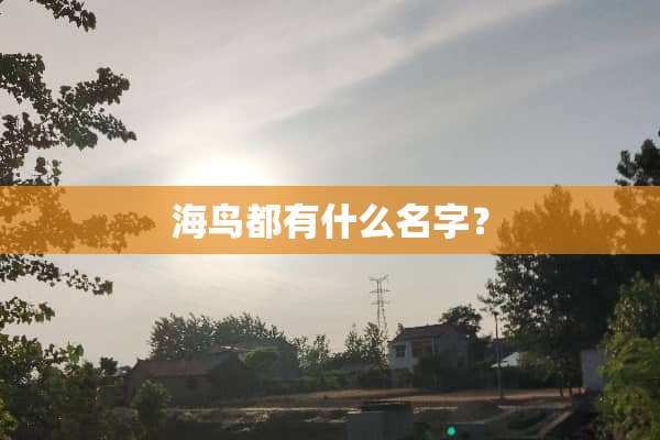 海鸟都有什么名字？