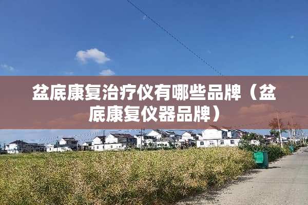 盆底康复治疗仪有哪些品牌（盆底康复仪器品牌）