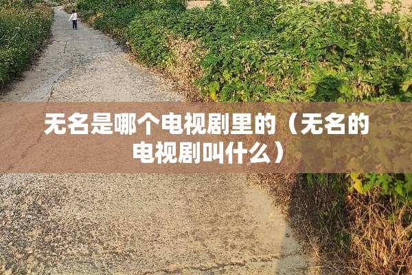 无名是哪个电视剧里的（无名的电视剧叫什么）