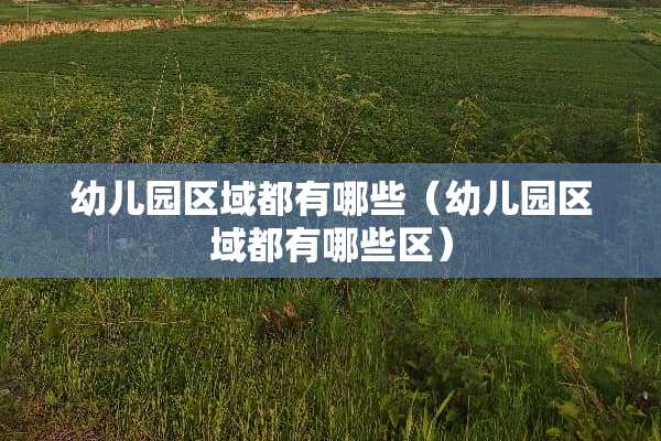 幼儿园区域都有哪些（幼儿园区域都有哪些区）